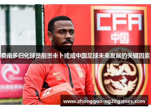 费南多归化球员前景未卜或成中国足球未来发展的关键因素
