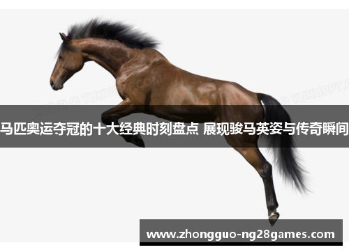 马匹奥运夺冠的十大经典时刻盘点 展现骏马英姿与传奇瞬间 马匹奥运夺冠的十大经典时刻盘点 展现骏马英姿与传奇瞬间