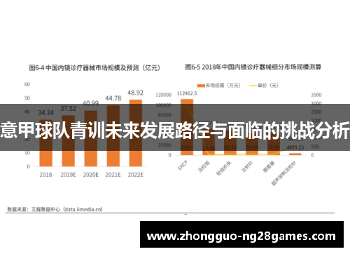 意甲球队青训未来发展路径与面临的挑战分析