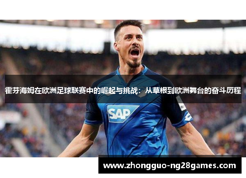 霍芬海姆在欧洲足球联赛中的崛起与挑战：从草根到欧洲舞台的奋斗历程